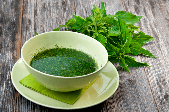 Nettle Infusion - Folk Remedies for Diabetes