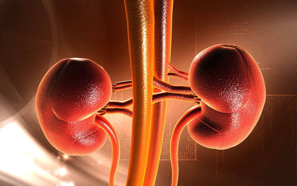 Increased blood sugar can lead to renal failure